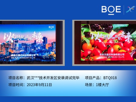 鄂州武漢**技術(shù)開發(fā)區(qū)1樓大廳BTQ018安裝調(diào)試完畢
