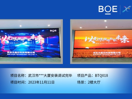 隨州武漢市***大廈2樓大廳BTQ018安裝調(diào)試完畢