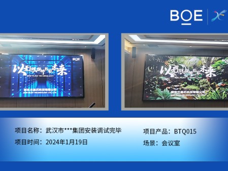 隨州武漢市**集團(tuán)會議室BTQ015安裝調(diào)試完畢