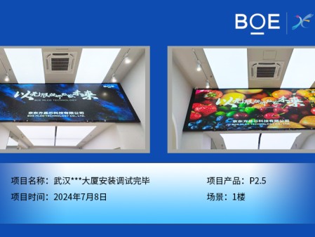 酒泉武漢***大廈安裝調試完畢