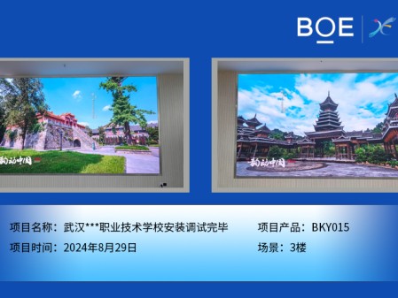 酒泉武漢***職業技術學校安裝調試完畢