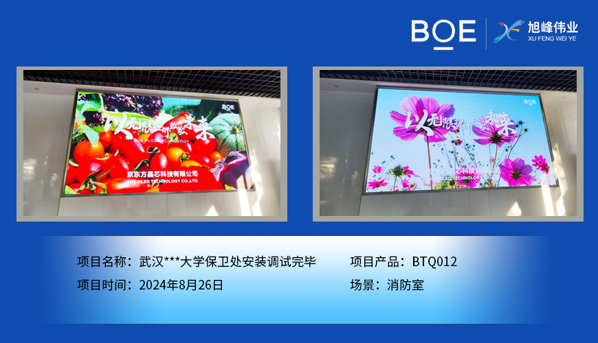 酒泉武漢***大學保衛處安裝調試完畢